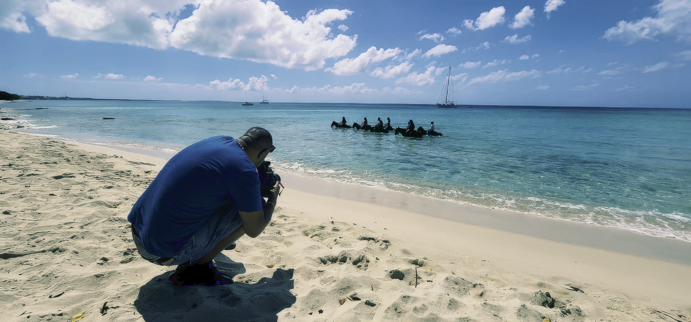 Horses on a Virgin Islands shoreline